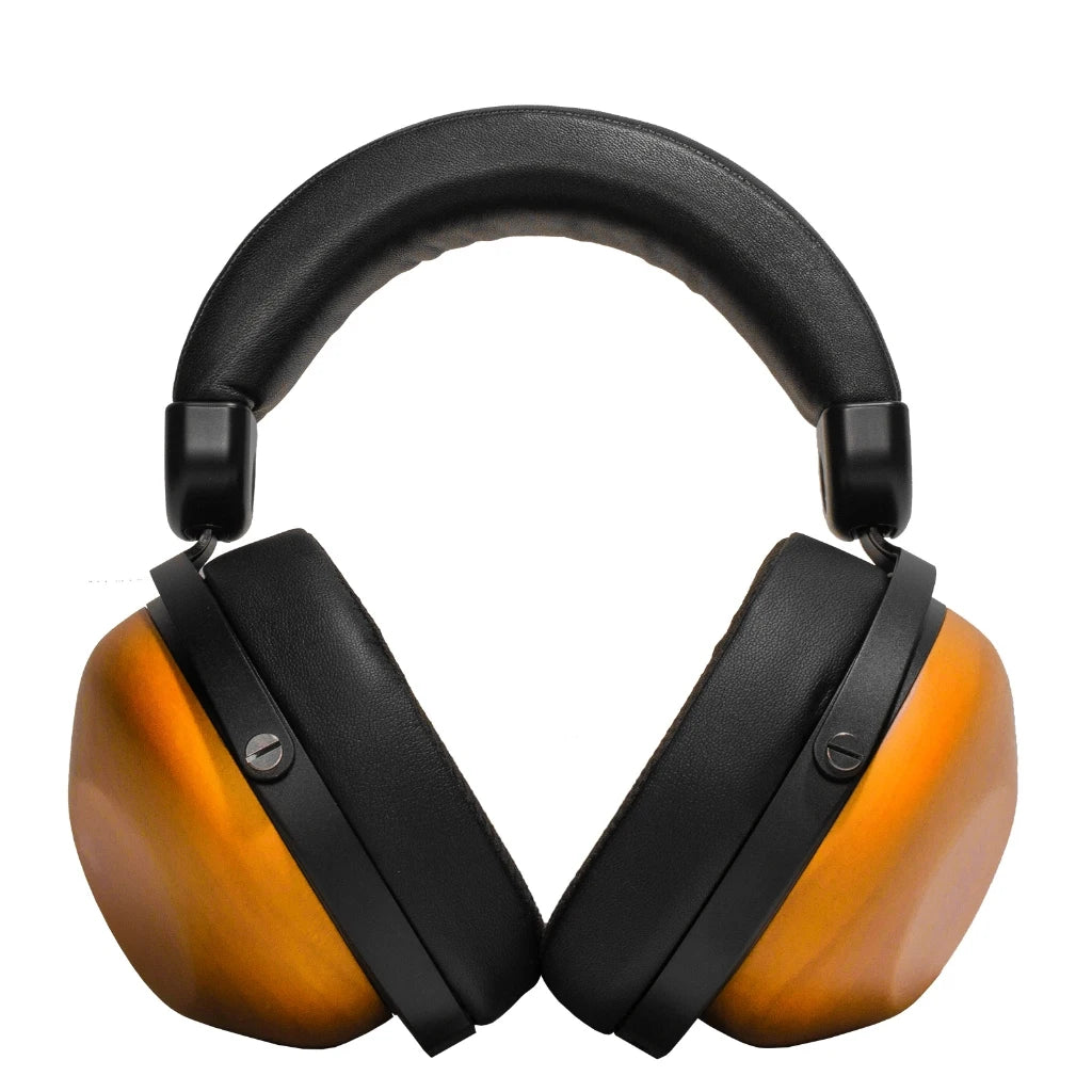 HIFIMAN HE-R10D Dynamic Headphones